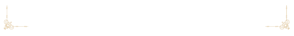專業團隊