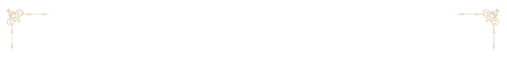 專業團隊