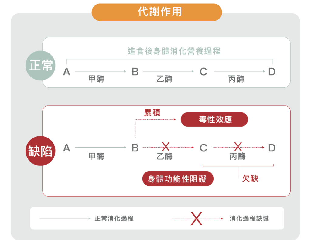 初生嬰兒代謝病檢查優惠