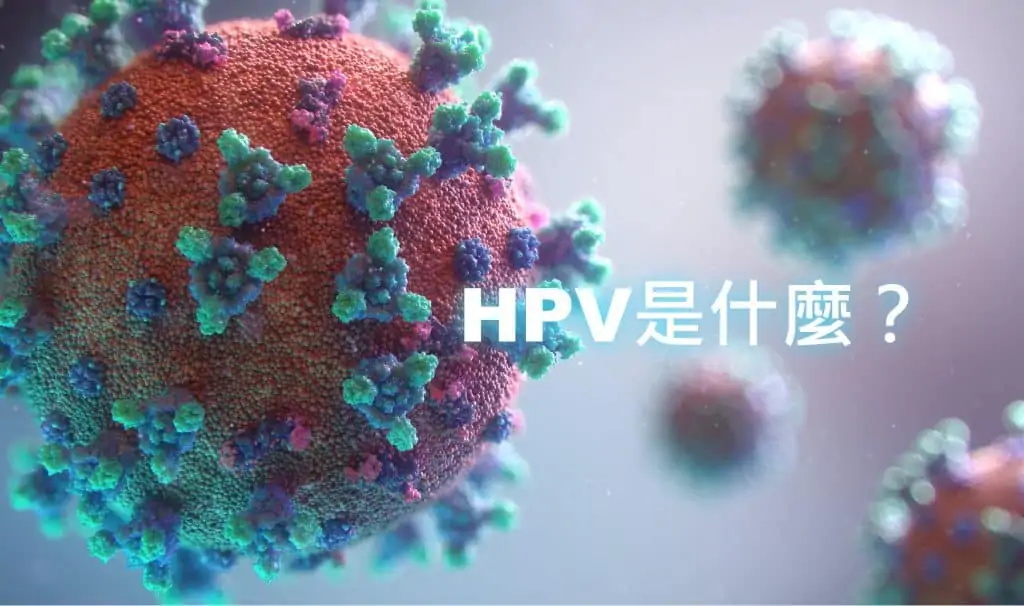 hpv是什麼？是你不敢面對，還是真的不知道？仲以為感染hpv是女性的專利，hpv男性也有機會感染！！