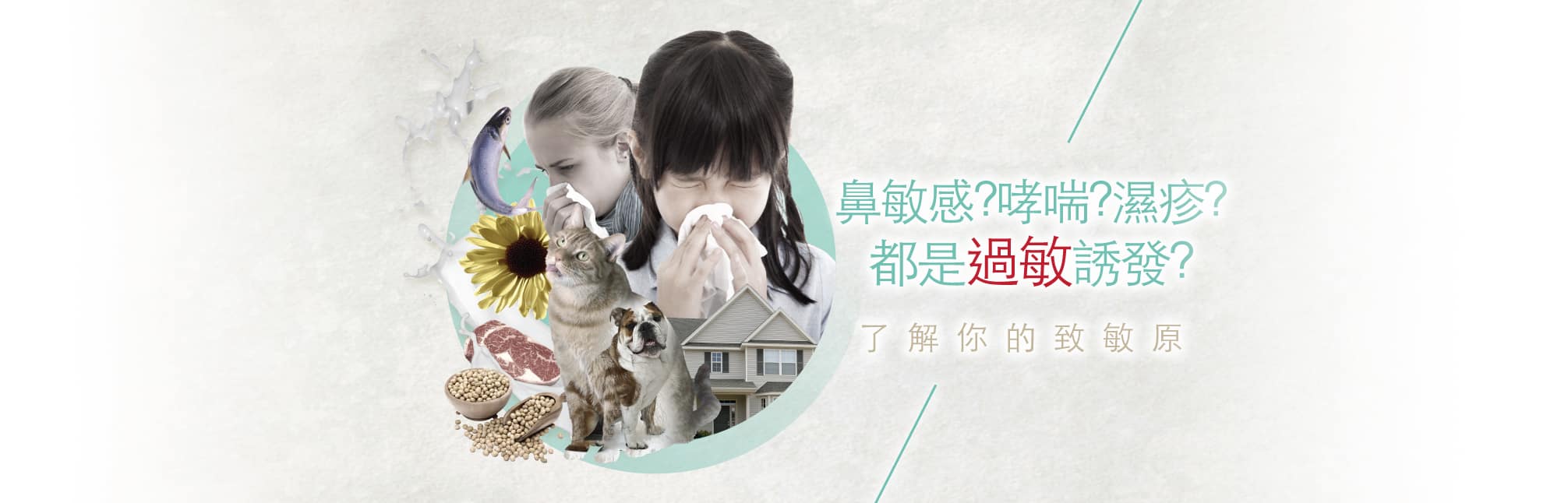過敏檢測