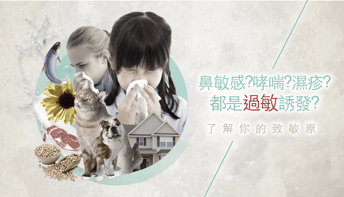 過敏檢測
