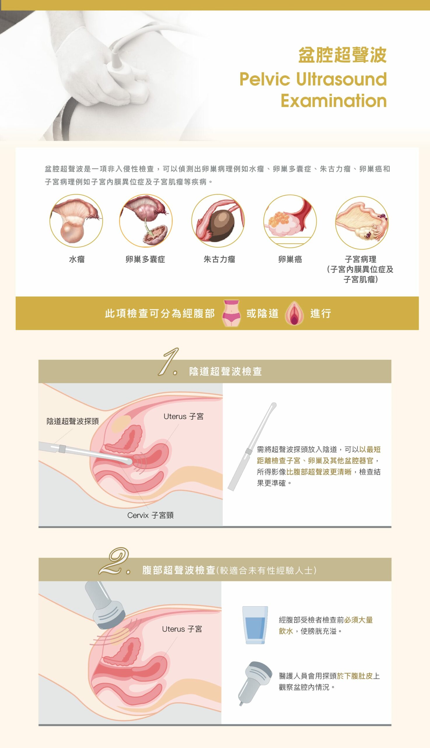 vaccine 9 in 1_cherry