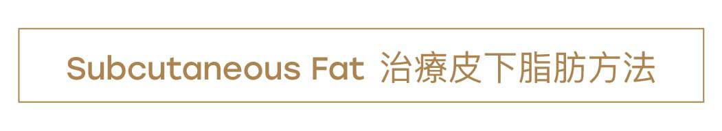 填充及抗皺針劑