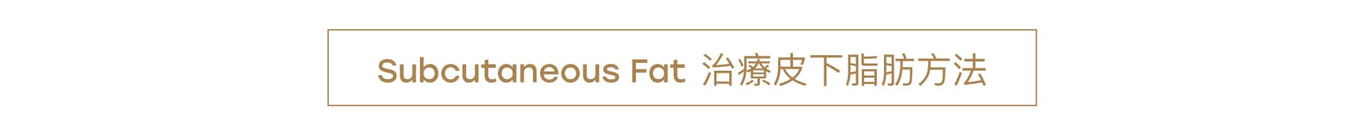 女士外觀管理服務