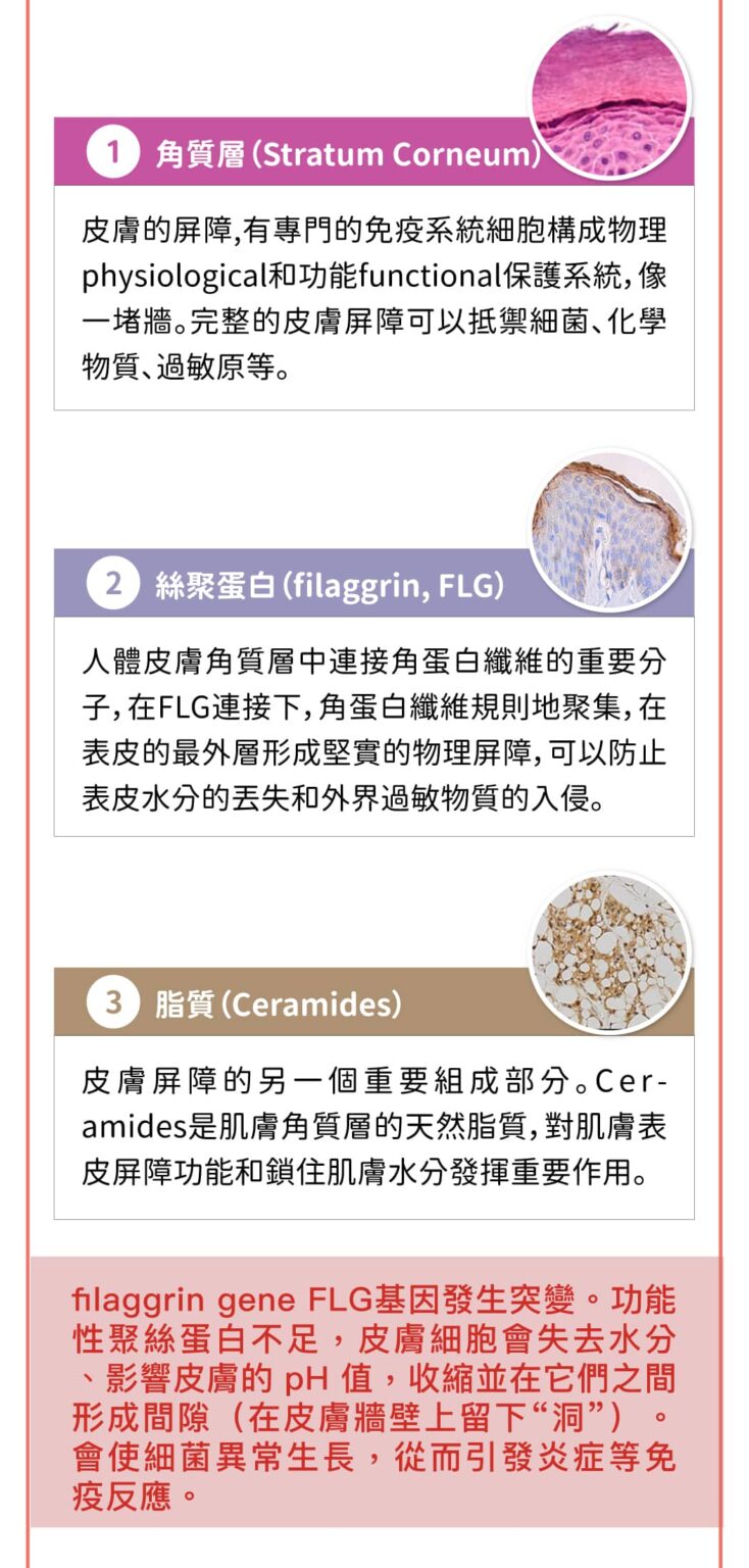 hkec