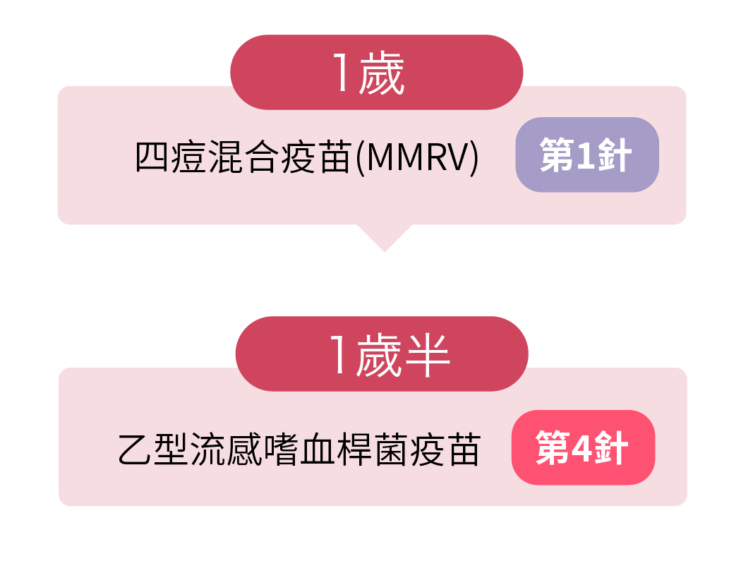 msvaq